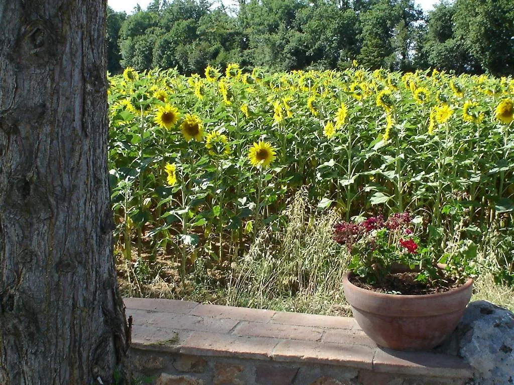 Casale Il Colombaio Di Toiano Guest House Sovicille 0*,  Italy