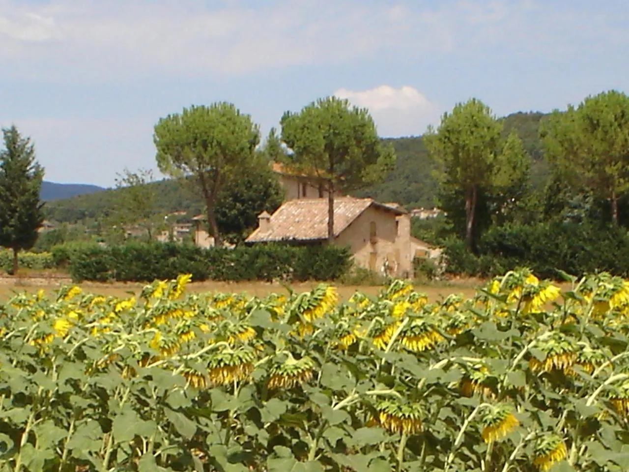 Casale Il Colombaio Di Toiano Guest House Sovicille 0*,