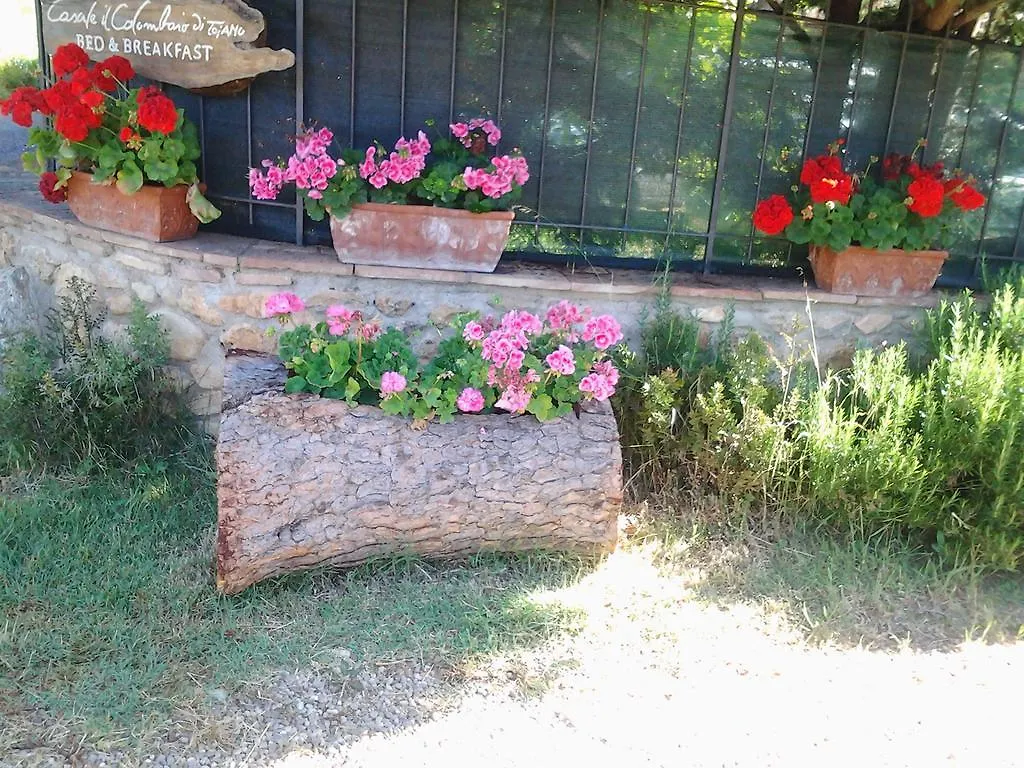 Country house Casale Il Colombaio Di Toiano Guest House Sovicille