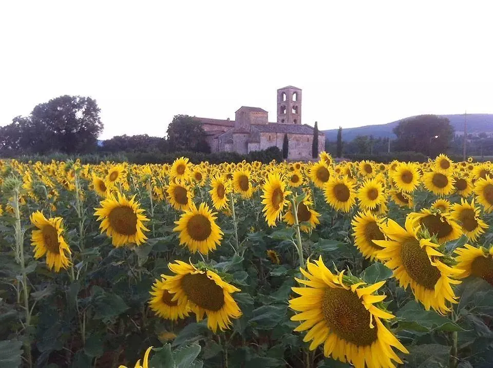 Country house Casale Il Colombaio Di Toiano Guest House Sovicille Italy