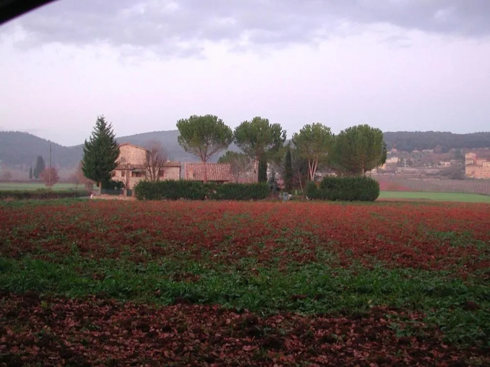 Casale Il Colombaio Di Toiano Guest House Sovicille Country house